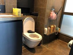 Skysuites@Anson (D2), Apartment #458519341